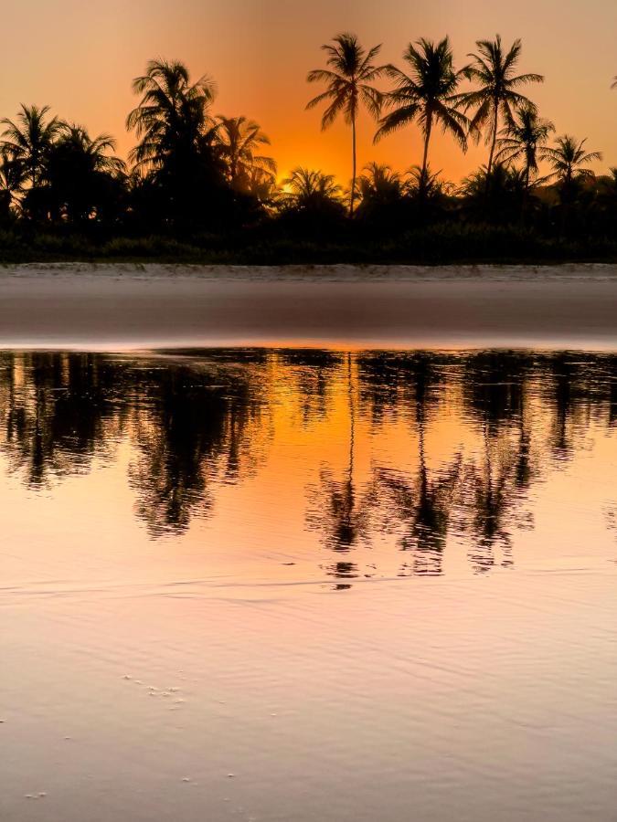 Aldeia Da Mata Ecolodge Серра-Ґранді Екстер'єр фото